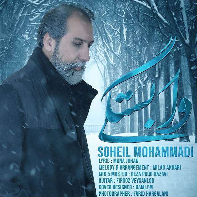 Soheil Mohammadi - Vabastegi