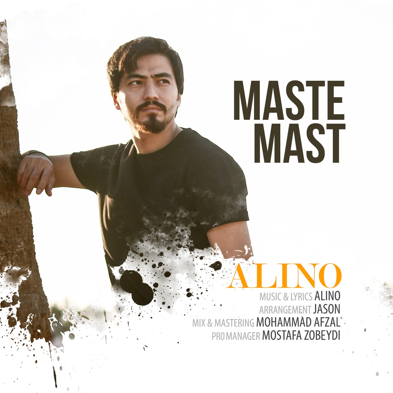 Alino - Maste Mast