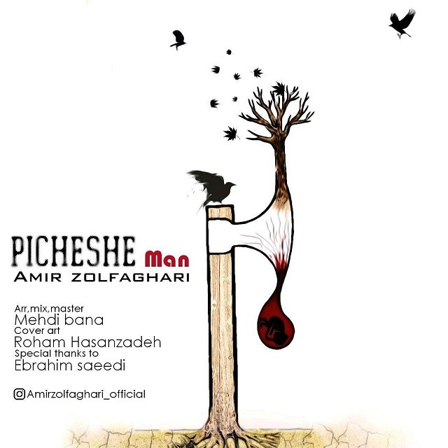 Amir Zolfaghari - Picheshe Man