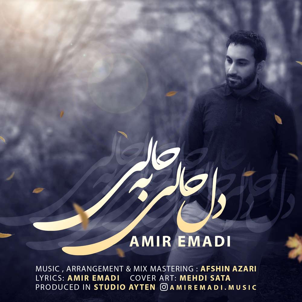 Amir Emadi - Dele Hali Be Hali