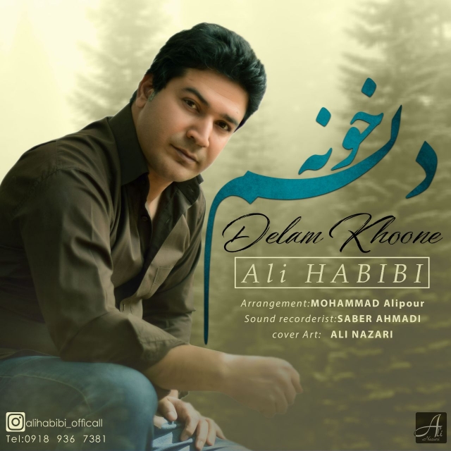 Ali Habibi - Delam Khoone