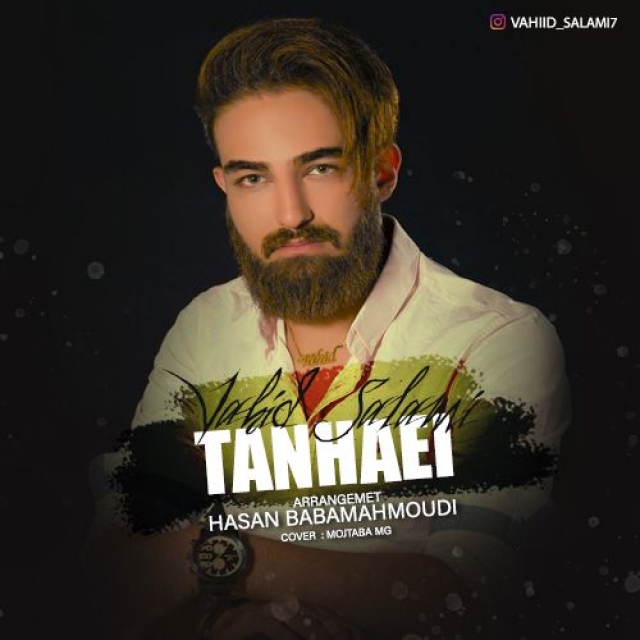 Vahid Salami - Tanhaei