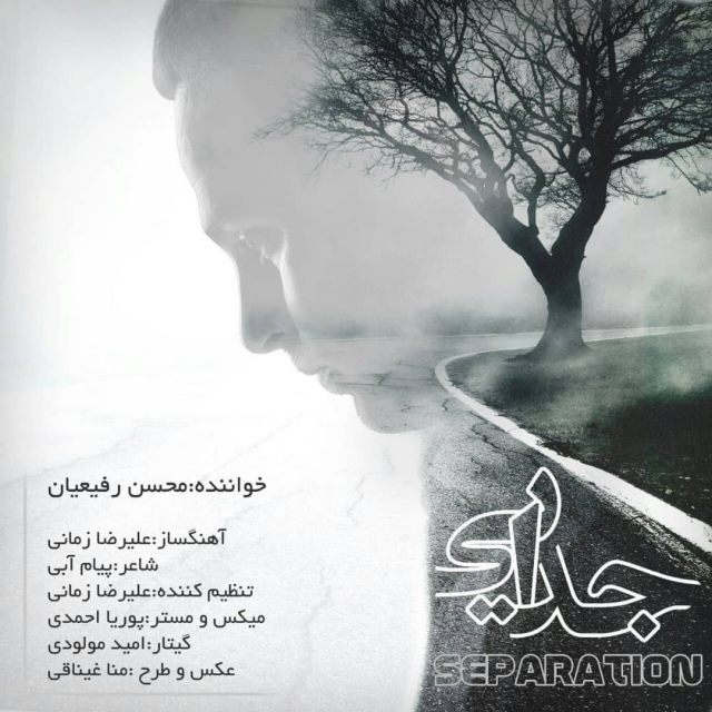 Mohsen Rafieyan - Jodaee