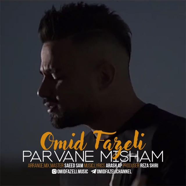 Omid Fazeli - Parvane Misham