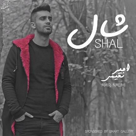 Amir Naeimi - Shal