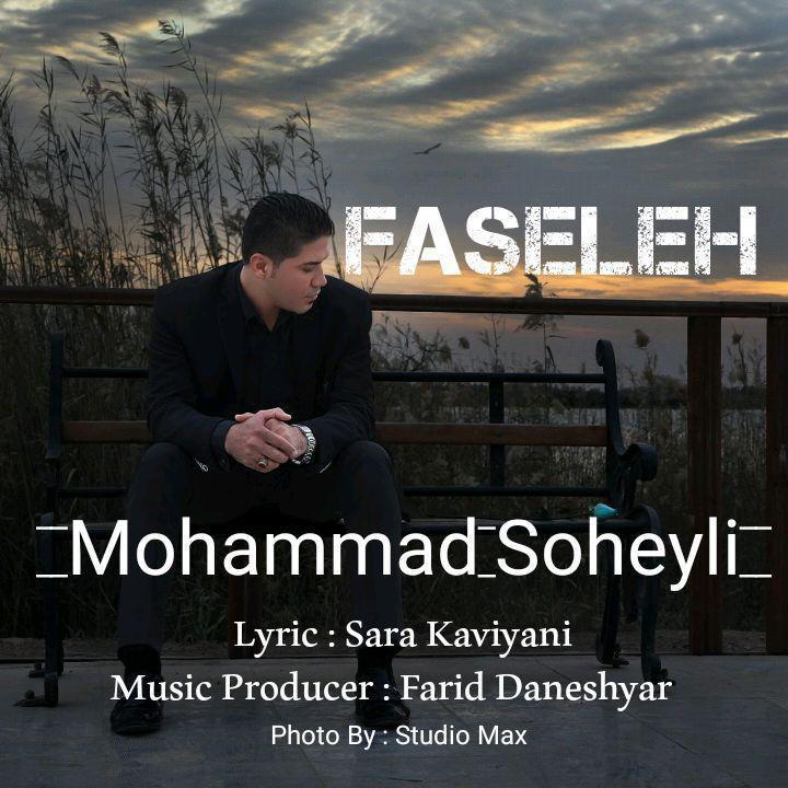 Mohammad Soheyli - Faseleh