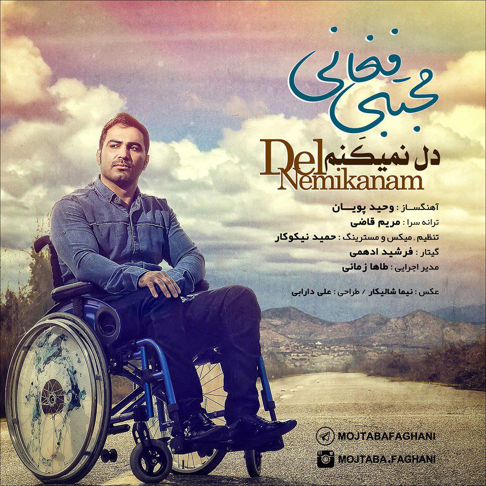 Mojtaba Faghani - Del Nemikanam