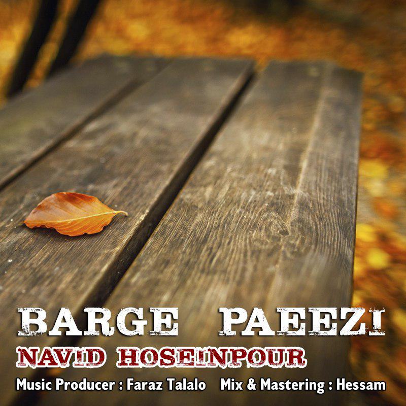 Navid Hoseinpour - Barge Paeizi