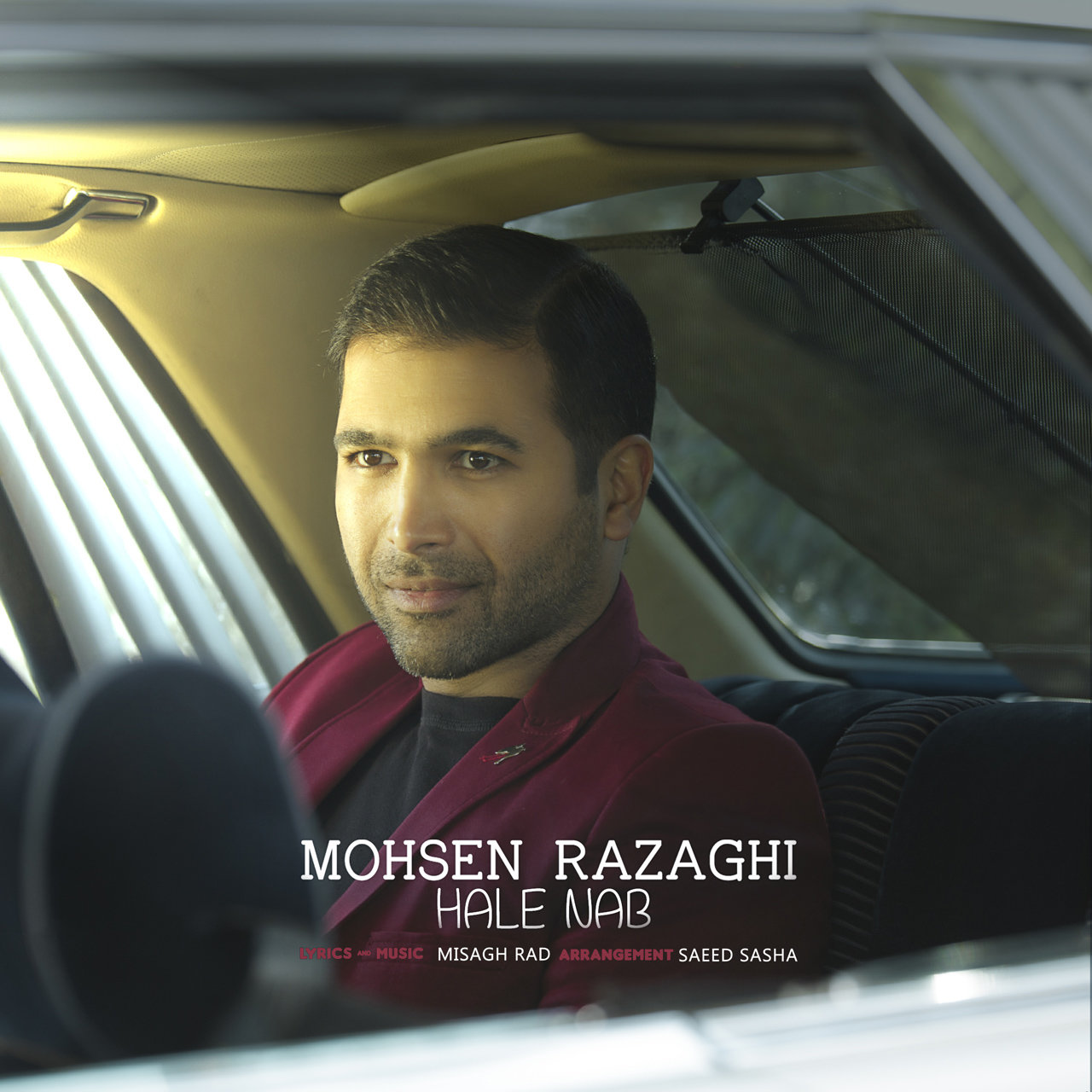 Mohsen Razaghi - Hale Nab