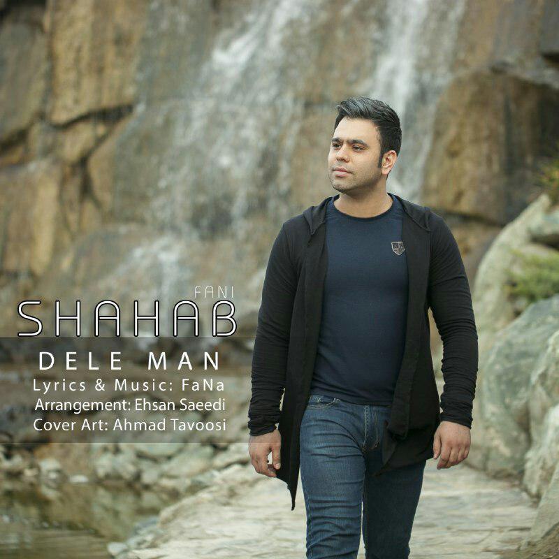 Shahab Fani - Dele Man