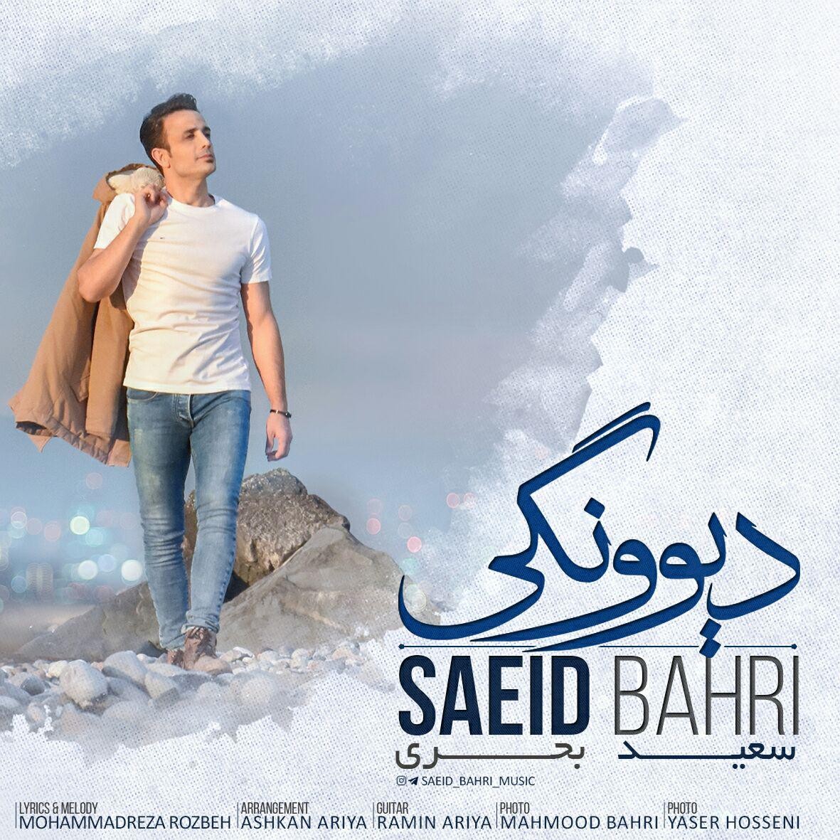 Saeid Bahri - Divoonegi