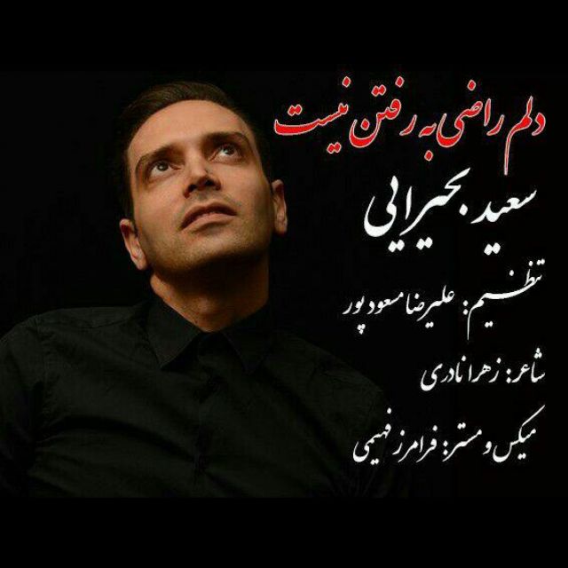 Saeed Bahiraie - Delam Razi Be Raftan Nist