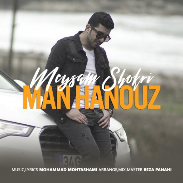 Meysam Shokri - Man Hanouz