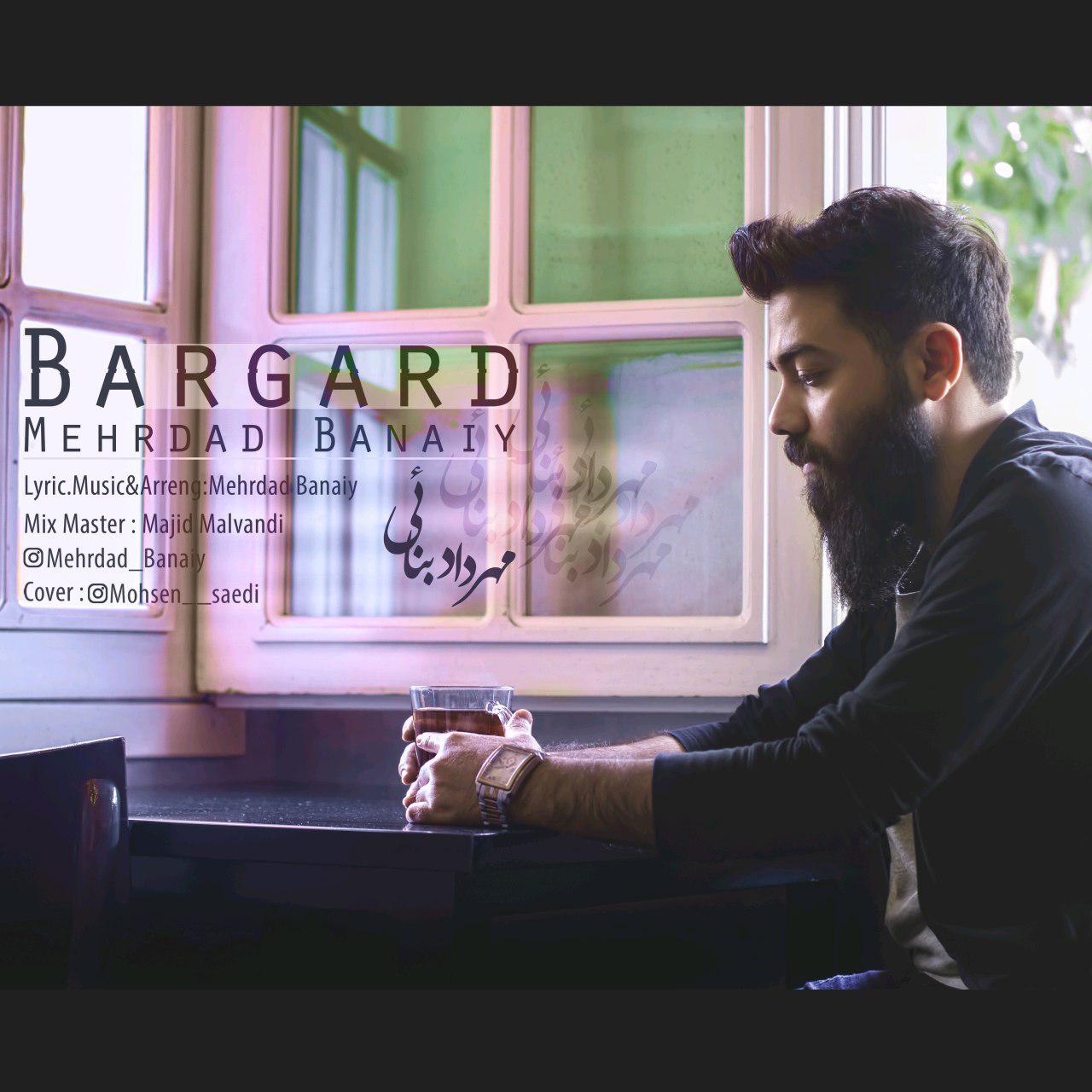 Mehrdad Banaiy - Bargard