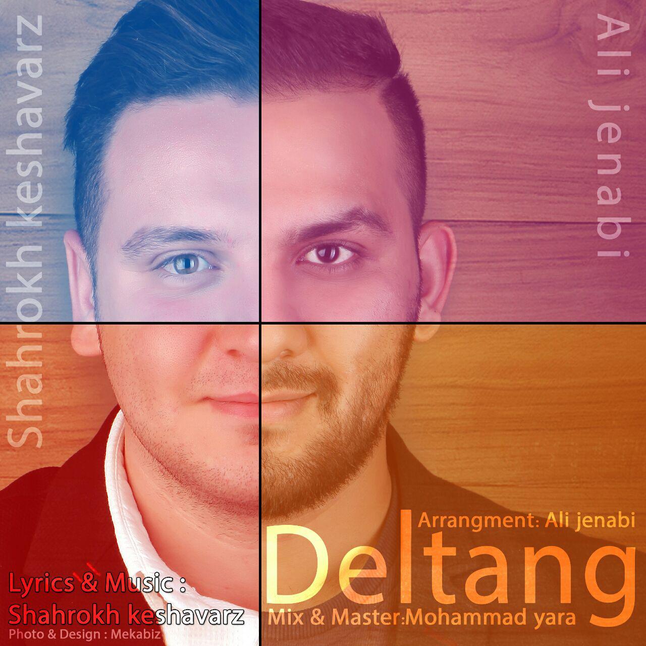 Shahrokh Keshavarz - Deltang