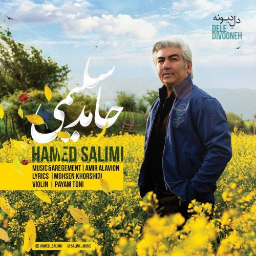 Hamed Salimi - Dele Divooneh