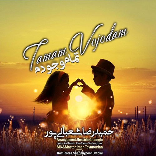 Hamidreza Shabanypoor - Tamam Vojodam