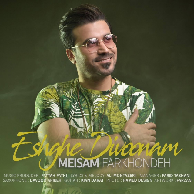 Meisam Farkhondeh - Eshghe Divoonam