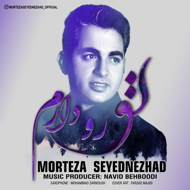 Morteza Seyednezhad - To Ro Daram