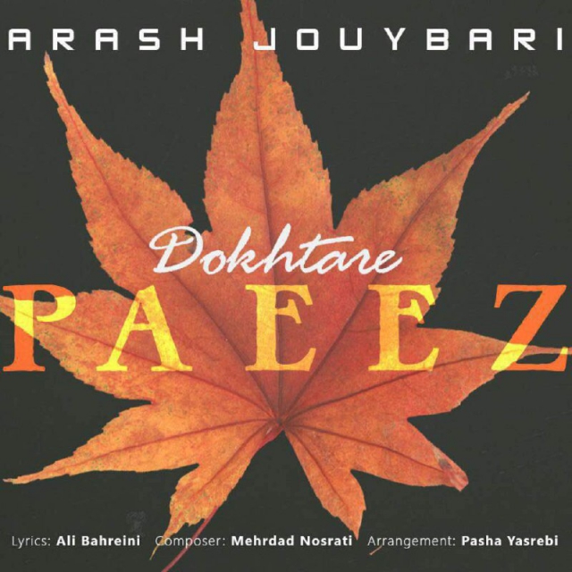 Arash Jouybari - Dokhtare Paeez