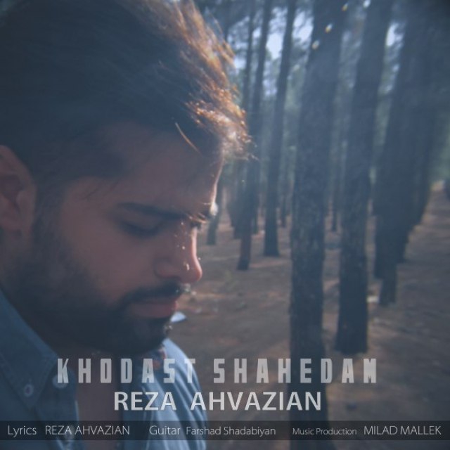 Reza Ahvazian - Khodast Shahedam