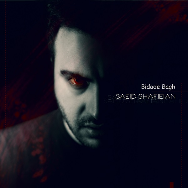 Saeid Shafieian - Bidade Bagh