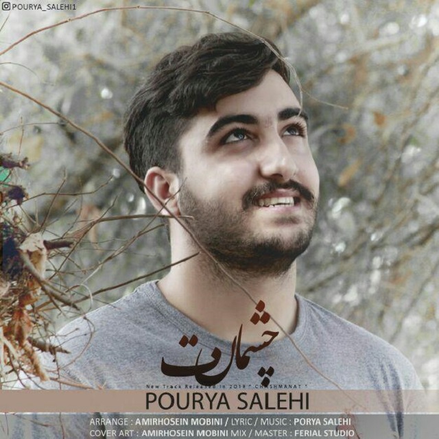 Pourya Salehi - Cheshmanat