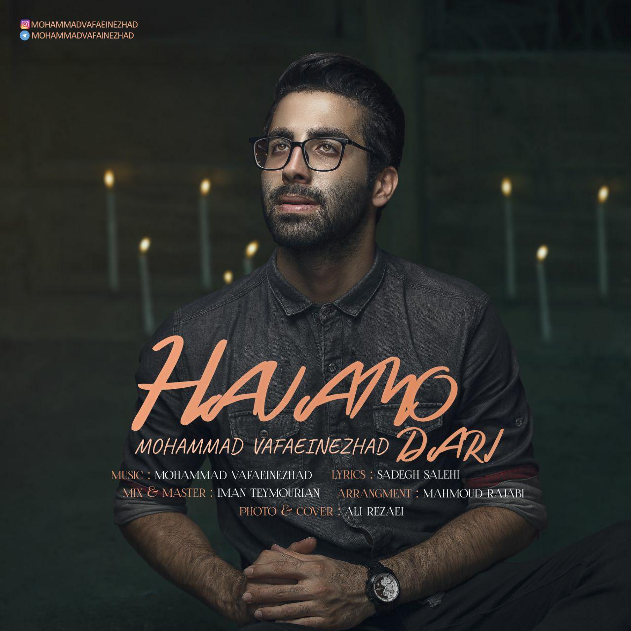 Mohammad Vafaeinezhad - Havamo Dari