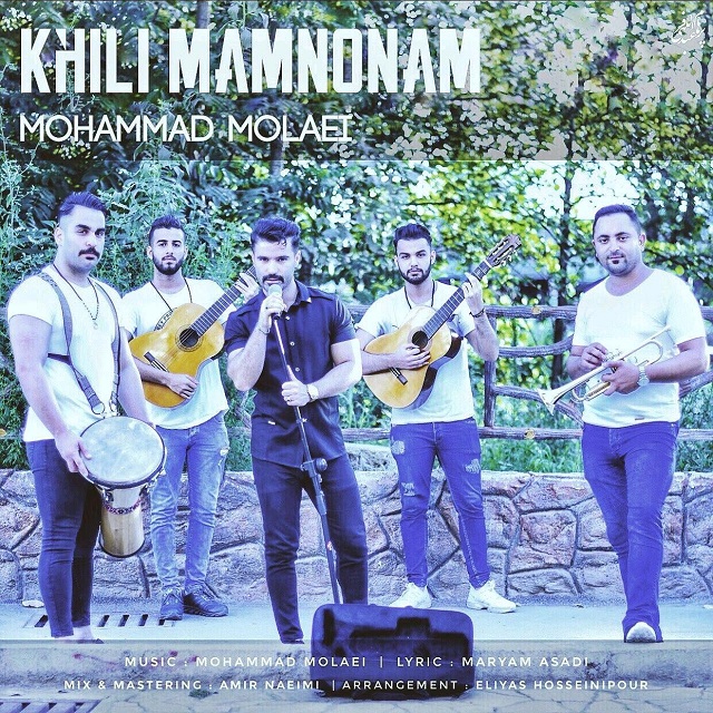 Mohammad Molaei - Kheili Mamnoonam