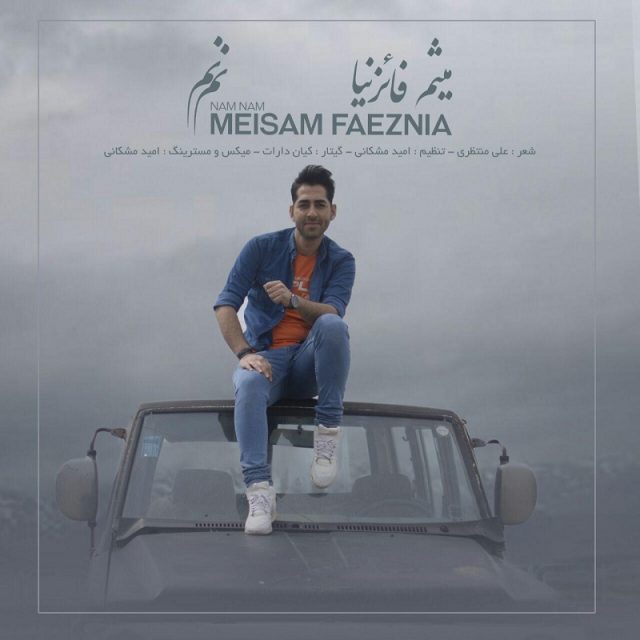 Meisam Faeznia - Nam Nam