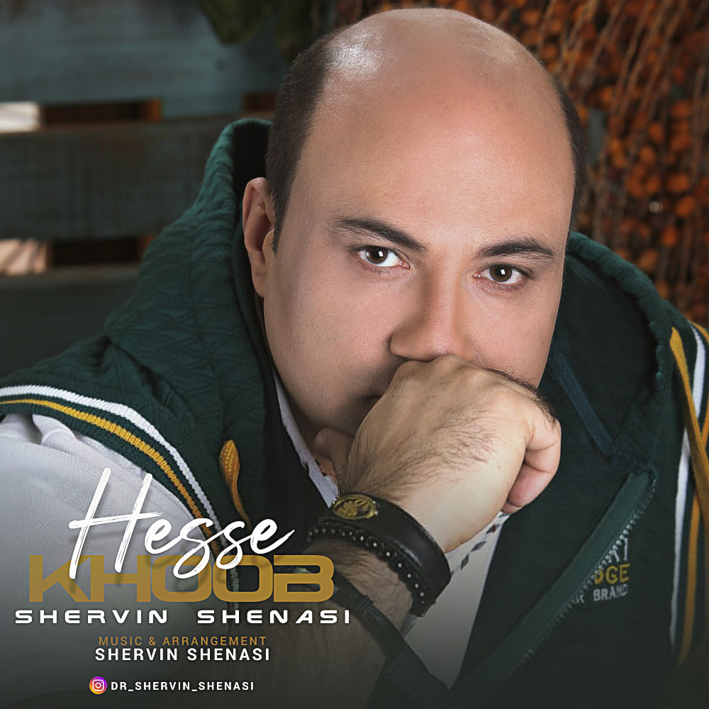 Shervin Shenasi - Hesse Khoob