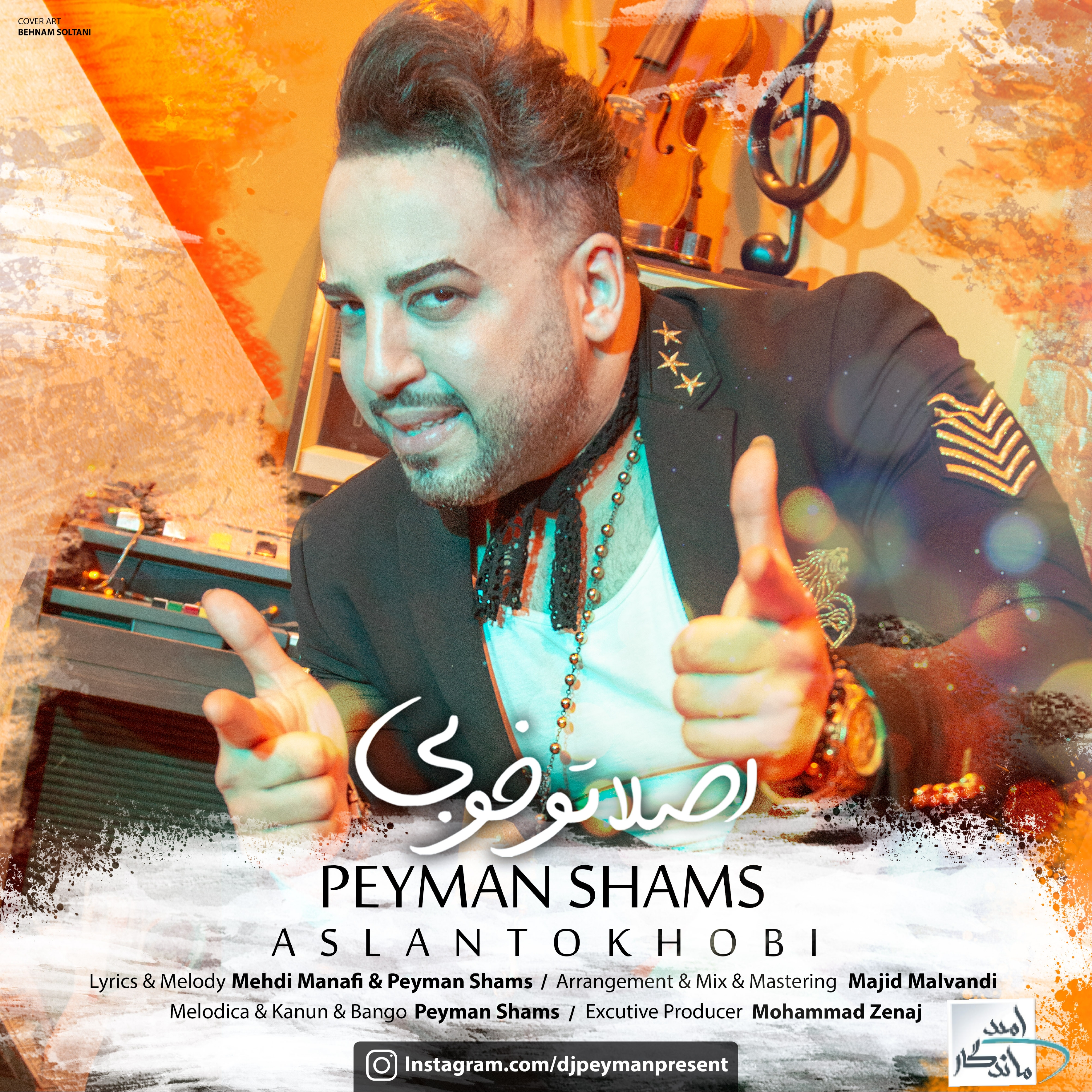 Peyman Shams - Aslan To Khobi