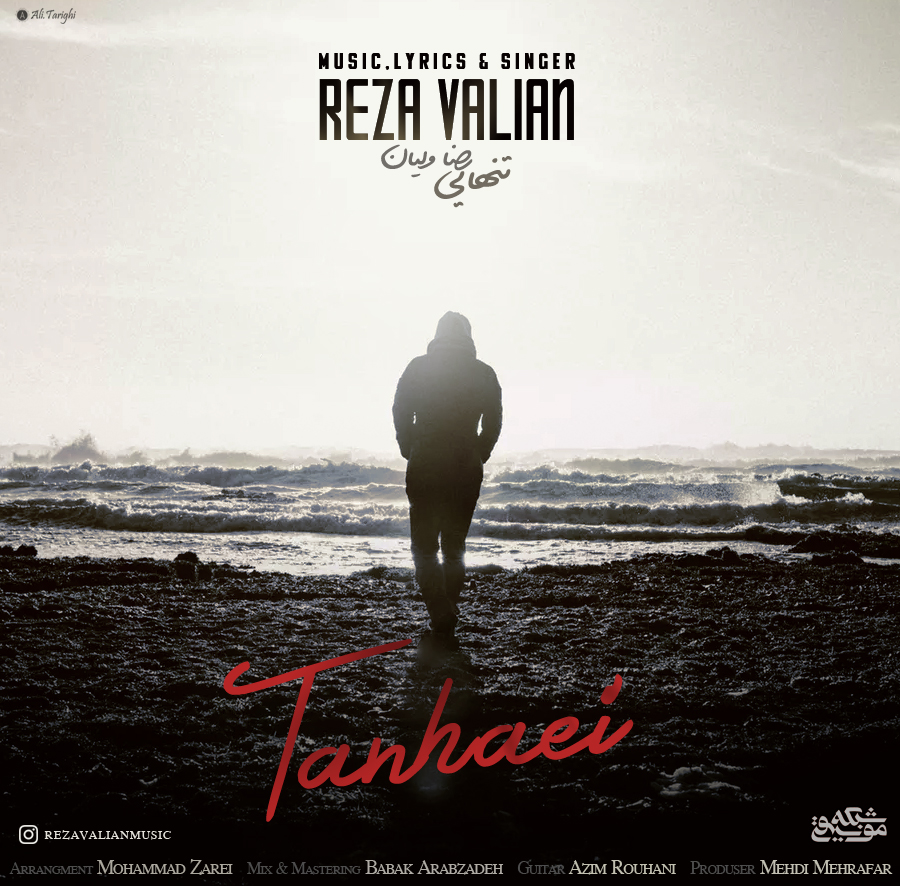 Reza Valian - Tanhaei