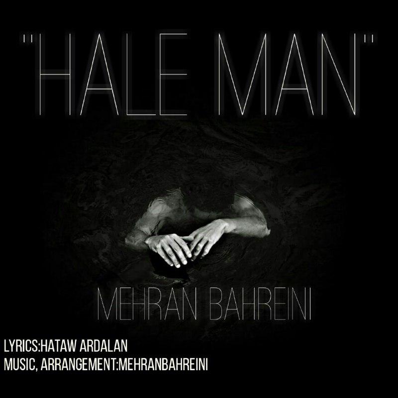 Mehran Bahreini - Hale Man