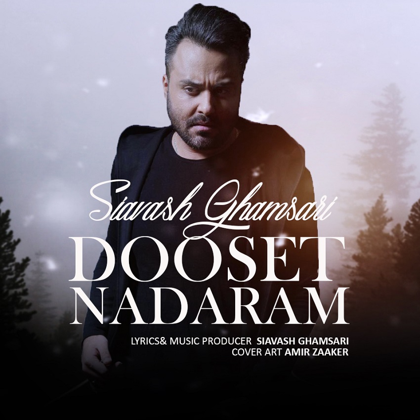 Siavash Ghamsari - Dooset Nadaram