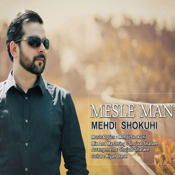 Mehdi Shokuhi - Mesle Man