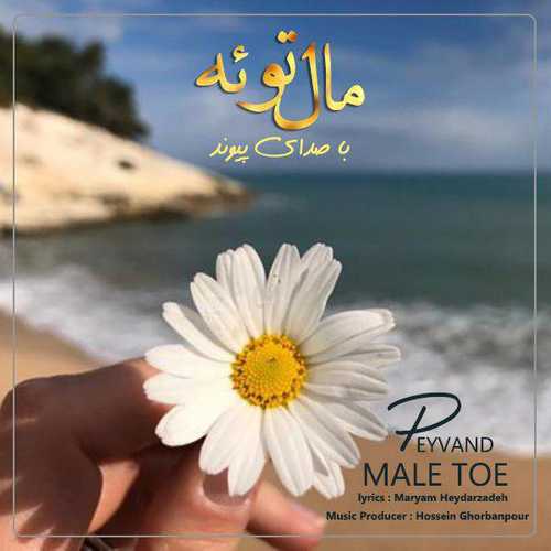 Peyvand - Male Toe