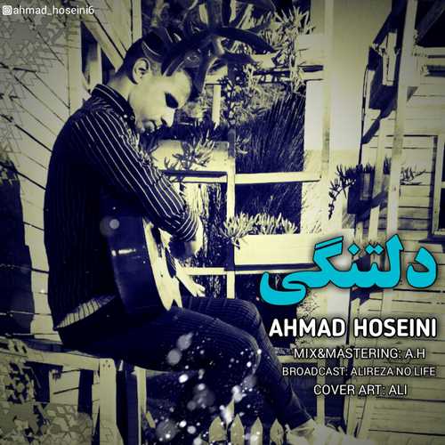 Ahmad Hoseini - Deltangi