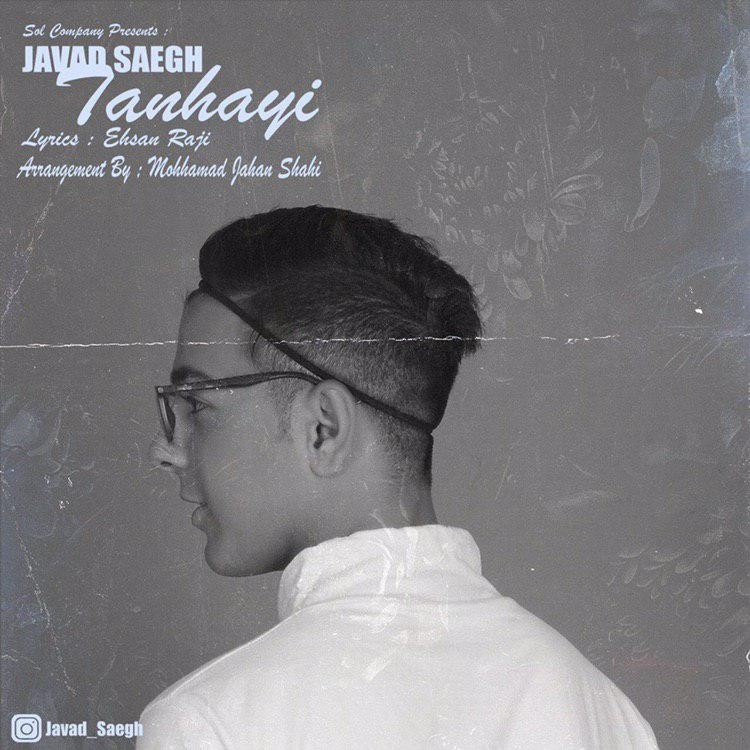 Javad Saegh - Tanhayi