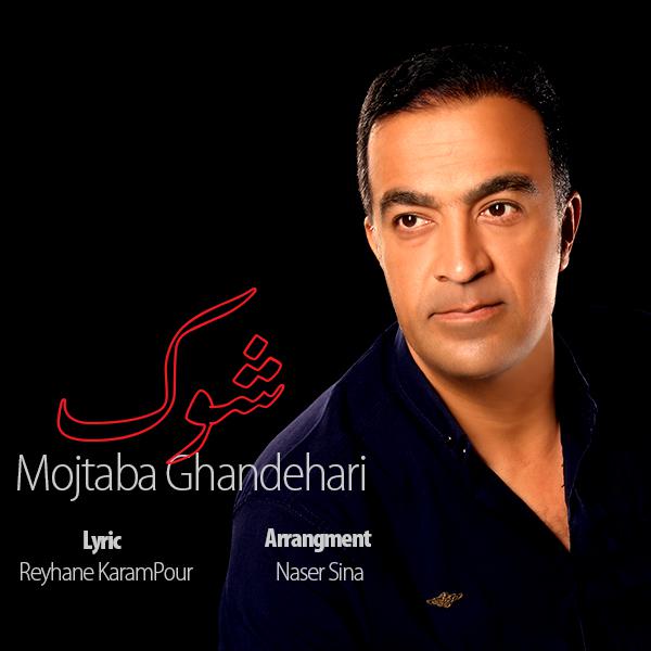 Mojtaba Ghandehari - Shok