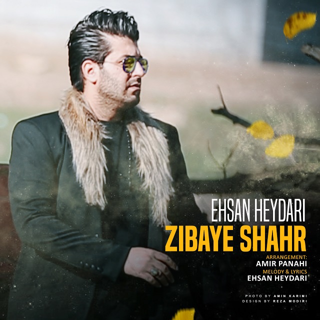 Ehsan Heidari - Zibaye Shahr