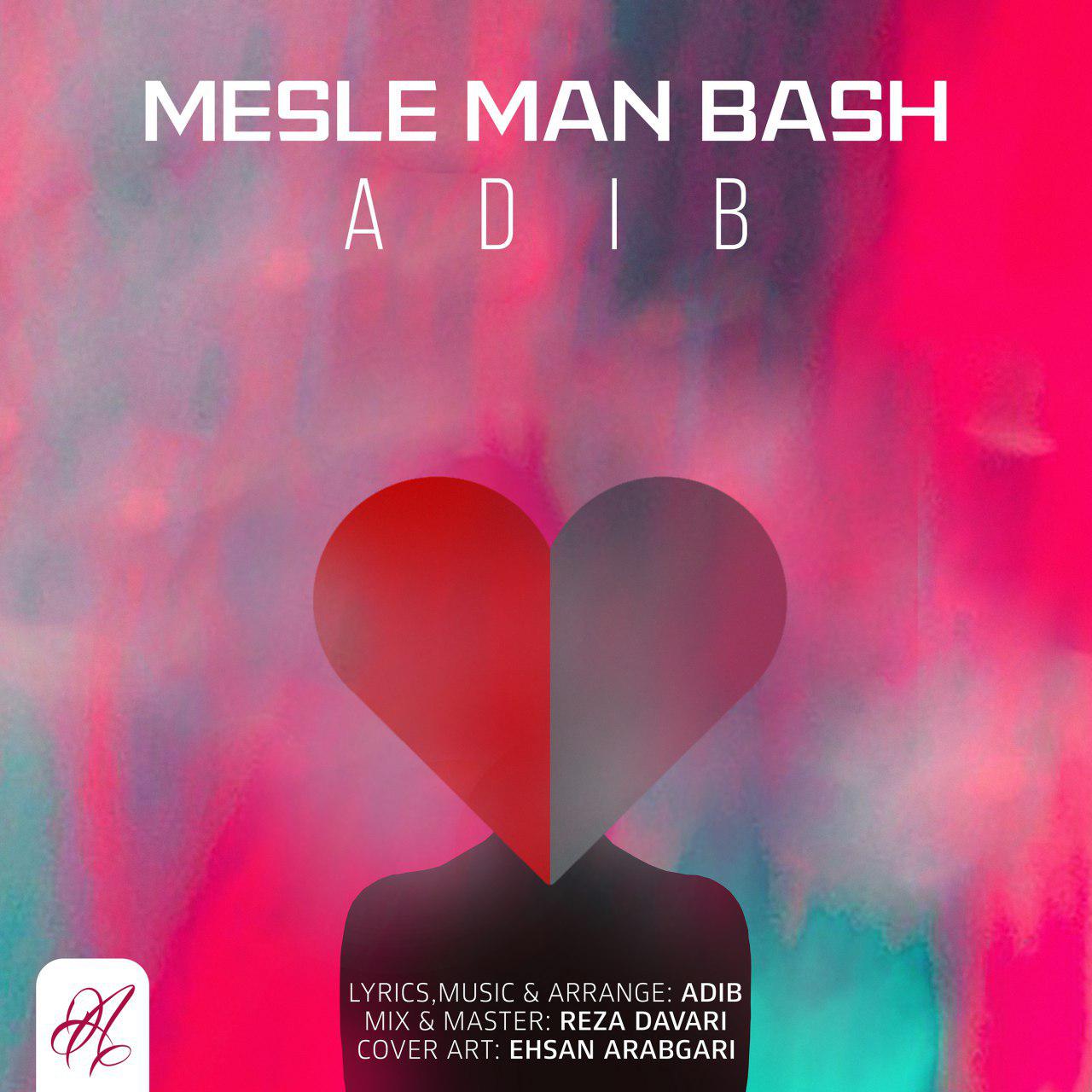 Adib - Mesle Man Bash