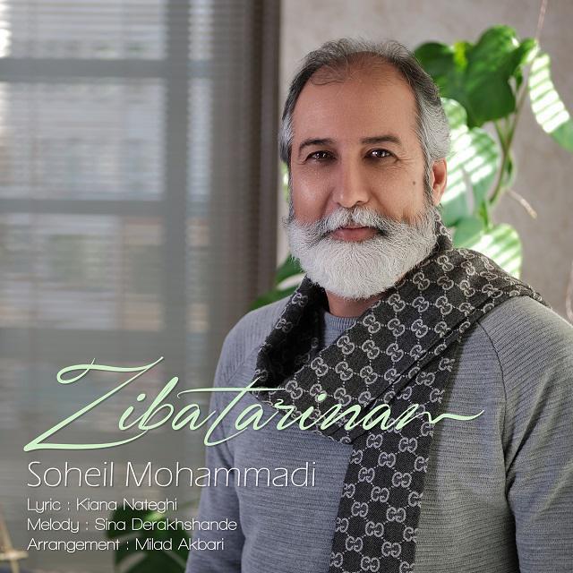 Soheil Mohammadi - Zibatarinam