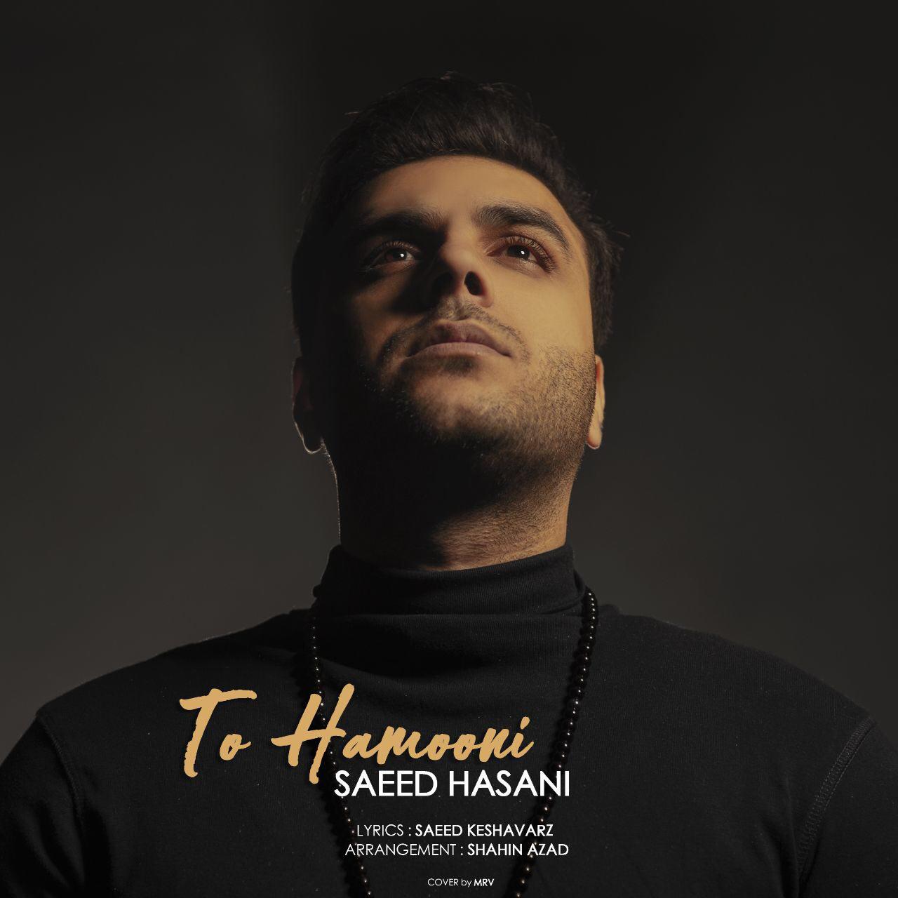 Saeed Hasani - To Hamooni