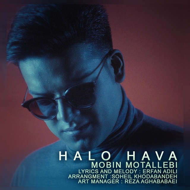 Mobin Motallebi - Halo Hava