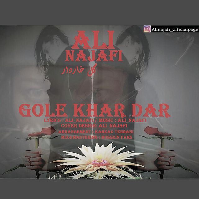 Ali Najafi - Gole Khardar