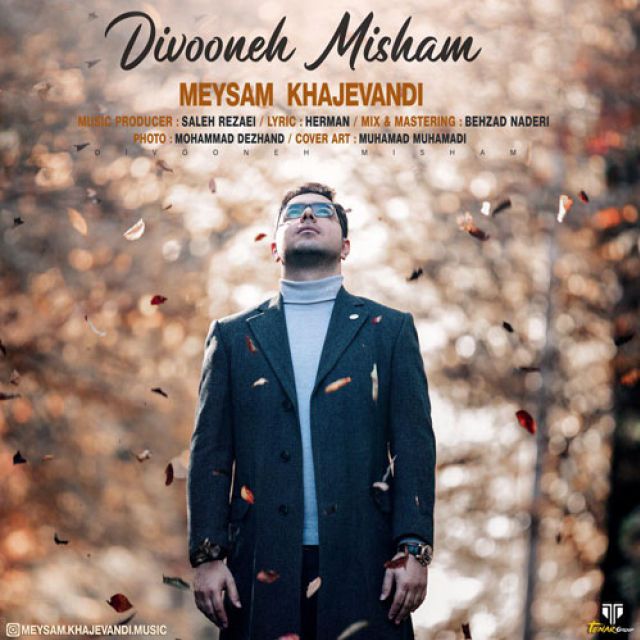 Meysam Khajevandi - Divoone Misham