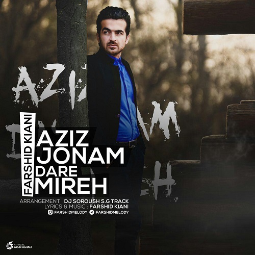 Farshid Kiani - Azize Jonam Dare Mire