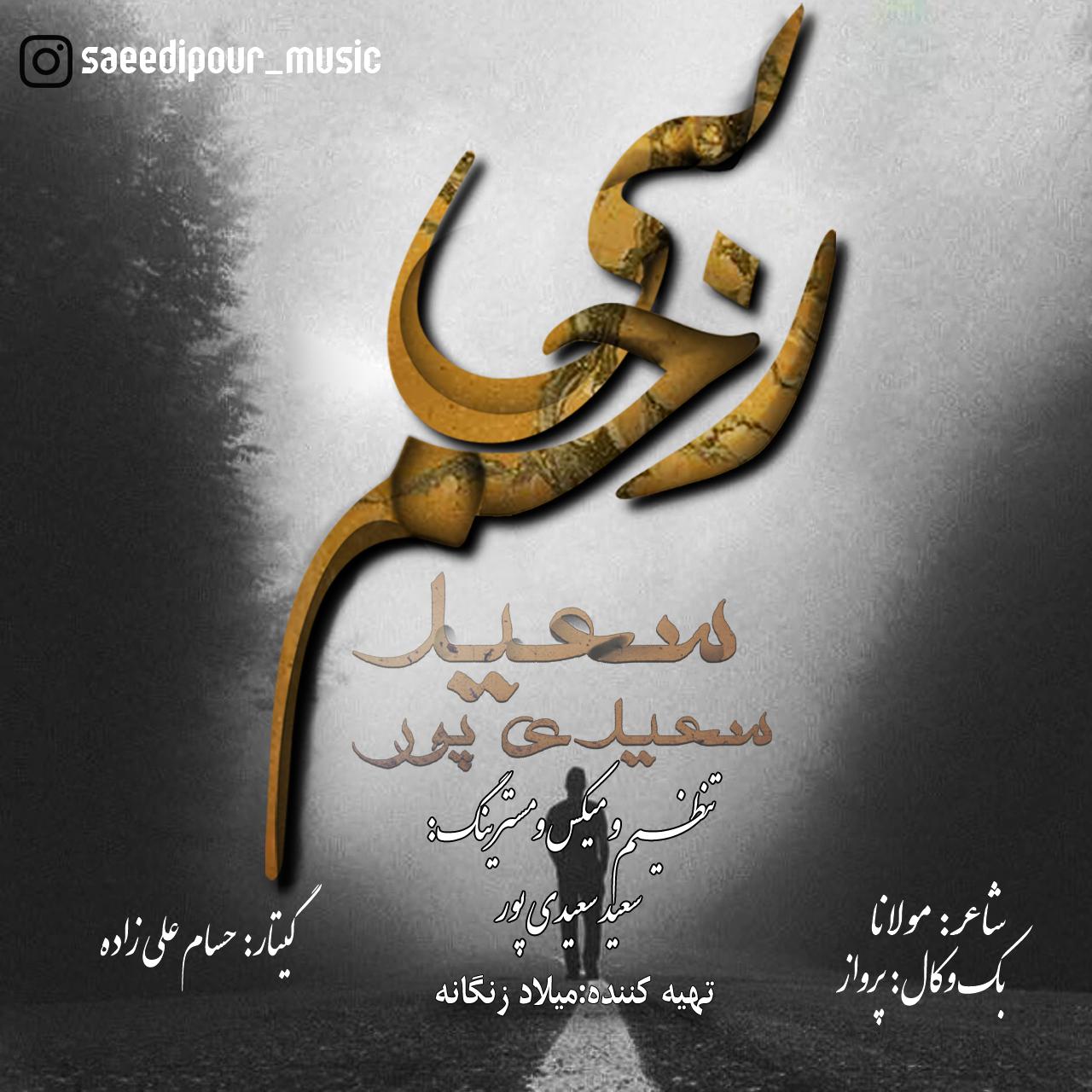 Saeed Saeedipour - Bi Rahm