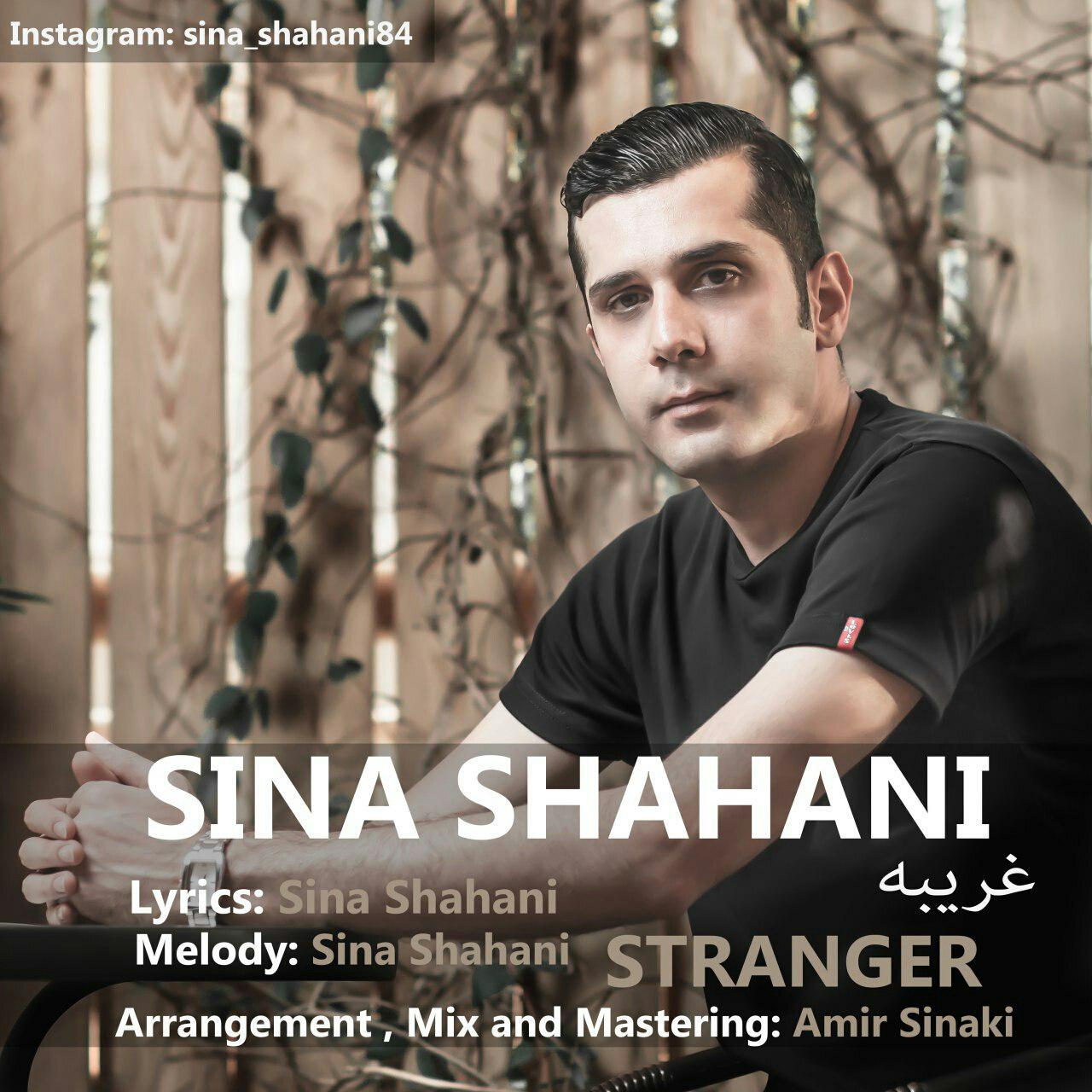 Sina Shahani - Stranger